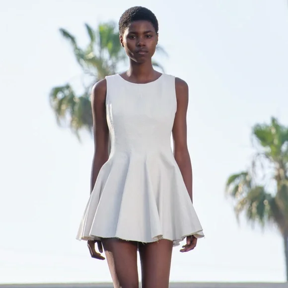 Zara | Dresses | Zara Nwt Skater Mini Dress Zw Collection